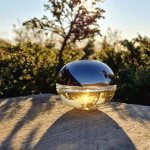 عطر ادکلن دی کی ان وای گلدن دلیشس دانا کارن - DKNY Golden Delicious Donna Karan - بررسی، قیمت و خرید