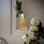 عطر ادکلن فندی تهورما فندی - Fendi Theorema Fendi - بررسی، قیمت و خرید