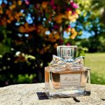 عطر ادکلن میس دیور ابسولوتلی بلومینگ دیور - Miss Dior Absolutely Blooming Dior - بررسی، قیمت و خرید