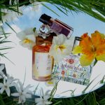 عطر ادکلن نارسیس فراگونارد - Narcisse Fragonard - بررسی، قیمت و خرید