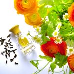 عطر ادکلن فیلتر هیرام گرین - Philtre Hiram Green - بررسی، قیمت و خرید