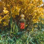 عطر ادکلن رز آمازون هرمس - Rose Amazone Hermès - بررسی، قیمت و خرید