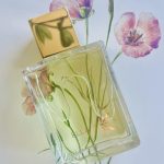 عطر ادکلن پلوئی سور ها لونگ الا کی پارفومز - Pluie Sur Ha Long Ella K Parfums - بررسی، قیمت و خرید