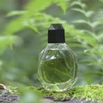عطر ادکلن فرانسین فرانچسکا دل اورو - Francine Francesca dell'Oro - بررسی، قیمت و خرید