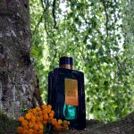 عطر ادکلن وود بلند داویدف - Wood Blend Davidoff - بررسی، قیمت و خرید