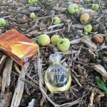 عطر ادکلن کریستال فابرلیک - Cristal Faberlic - بررسی، قیمت و خرید