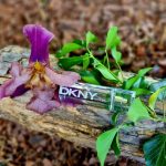 عطر ادکلن دانا کارن ومن انرژیزینگ دانا کارن - Donna Karan Women Energizing Donna Karan - بررسی، قیمت و خرید