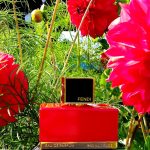 عطر ادکلن لاکواروسا فندی - L'Acquarossa Fendi - بررسی، قیمت و خرید