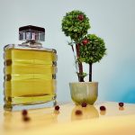 عطر ادکلن وتیور فروزن فراگرنس گرلن - Vetiver Frozen Fragrance Guerlain - بررسی، قیمت و خرید