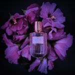 عطر ادکلن دزرت ایدن اِستِه لادِر - Desert Eden Estée Lauder - بررسی، قیمت و خرید