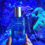 عطر ادکلن کول واتر ویو داویدوف - Cool Water Wave Davidoff - بررسی، قیمت و خرید