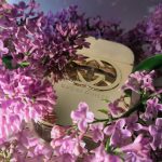 عطر ادکلن گوچی گیلتی گوچی - Gucci Guilty Gucci - بررسی، قیمت و خرید
