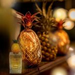 عطر ادکلن پاین اپل دولچه گابانا - Pineapple Dolce&Gabbana - بررسی، قیمت و خرید