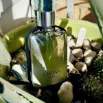 عطر ادکلن زی زگنا میلان ارمنه‌گیلدو زگنا - Z Zegna Milan Ermenegildo Zegna - بررسی، قیمت و خرید