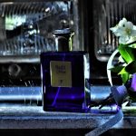 عطر ادکلن نایت دریم اکسترا اِلیزِه فَشِن - Night Dream Extra Elysees Fashion - بررسی، قیمت و خرید