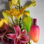 عطر ادکلن تراپیکال پانچ اِسکادا - Tropical Punch Escada - بررسی، قیمت و خرید