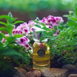 عطر ادکلن پرند گارد ا توآ اگوفاکتو - Prends Garde a Toi Egofacto - بررسی، قیمت و خرید