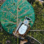 عطر ادکلن میس دیور پرفیوم دیور - Miss Dior Parfum Dior - بررسی، قیمت و خرید