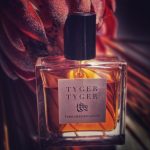 عطر ادکلن تایگر تایگر فرانچسکا بیانکی - Tyger Tyger Francesca Bianchi - بررسی، قیمت و خرید