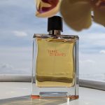 عطر ادکلن تر د هرمس پارفوم هِرمِس - Terre d'Hermes Parfum Hermès - بررسی، قیمت و خرید