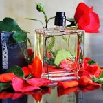 عطر ادکلن رزا نیگرا فیلیپو سورسینلی - Rosa Nigra Filippo Sorcinelli - بررسی، قیمت و خرید