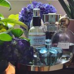 عطر ادکلن مودرن موس نویت استی لادر - Modern Muse Nuit Estée Lauder - بررسی، قیمت و خرید