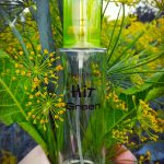 عطر ادکلن هیت گرین دزینتارس - Hit Green Dzintars - بررسی، قیمت و خرید