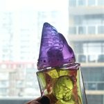 عطر ادکلن شی ایز فیش هوس آف آتروپا - She is Fish House of Atropa - بررسی، قیمت و خرید