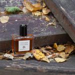عطر ادکلن تایگر تایگر فرانچسکا بیانکی - Tyger Tyger Francesca Bianchi - بررسی، قیمت و خرید