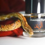 عطر ادکلن پرامیس فردریک مال - Promise Frederic Malle - بررسی، قیمت و خرید