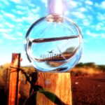 عطر ادکلن هالیستر ویو فور هر هالیستر - Hollister Wave For Her Hollister - بررسی، قیمت و خرید