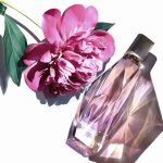 عطر ادکلن گوست دی‌دریم گوست - Ghost Daydream Ghost - بررسی، قیمت و خرید