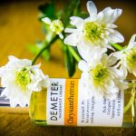 عطر ادکلن کریزنتهموم دیمتر فرگرنس - Chrysanthemum Demeter Fragrance - بررسی، قیمت و خرید
