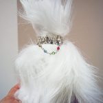 عطر ادکلن شی ایز کت هاوس آو آتروپا - She Is Cat House of Atropa - بررسی، قیمت و خرید