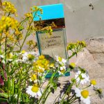 عطر ادکلن لایت بلو فوراور دولچه گابانا - Light Blue Forever Dolce&Gabbana - بررسی، قیمت و خرید