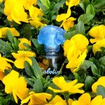 عطر ادکلن کبوتین بلو گره - Cabotine Bleu Grès - بررسی، قیمت و خرید