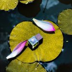 عطر ادکلن هاسونوئیتو دی سر - Hasunoito DI SER - بررسی، قیمت و خرید