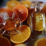 عطر ادکلن اینتوییشن استی لادر - Intuition Estée Lauder - بررسی، قیمت و خرید