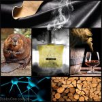 عطر ادکلن بس ایفمرا بای آنساوند - Bass Ephemera by Unsound - بررسی، قیمت و خرید