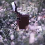 عطر ادکلن لجند امپر - Legend Emper - بررسی، قیمت و خرید