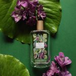 عطر ادکلن بو دو پرووانس فراگونارد - Beau de Provence Fragonard - بررسی، قیمت و خرید