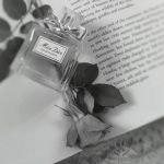 عطر ادکلن میس دیور او دو توالت ۲۰۱۹ دیور - Miss Dior Eau de Toilette 2019 Dior - بررسی، قیمت و خرید