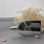 عطر ادکلن وویاژ د'هرمس اِرمِس - Voyage d'Hermes Hermès - بررسی، قیمت و خرید