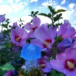 عطر ادکلن کبوتین بلو گره - Cabotine Bleu Grès - بررسی، قیمت و خرید