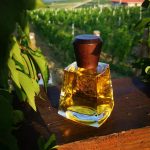 عطر ادکلن تر د سارمان فرپین - Terre de Sarment Frapin - بررسی، قیمت و خرید