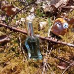 عطر ادکلن کریستین وان دزینتارس - Kristine 1 Dzintars - بررسی، قیمت و خرید