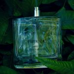 عطر ادکلن پتریک فراگرنسز آف آیرلند - Patrick Fragrances of Ireland - بررسی، قیمت و خرید