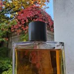 عطر ادکلن مای بوگ - Maai Bogue - بررسی، قیمت و خرید