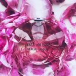 عطر ادکلن اسکای دی جیویا جیورجیو آرمانی - Sky di Gioia Giorgio Armani - بررسی، قیمت و خرید