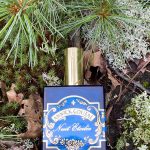عطر ادکلن نویی اتواله گوتال - Nuit Etoilee Goutal - بررسی، قیمت و خرید